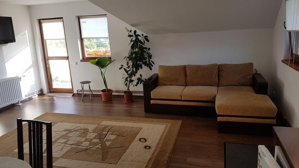 Casa Margareta Villa Sovata Ngoại thất bức ảnh